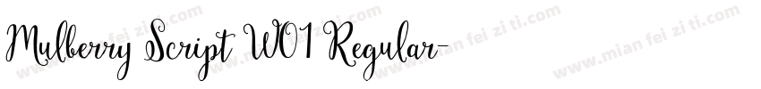 Mulberry Script W01 Regular字体转换